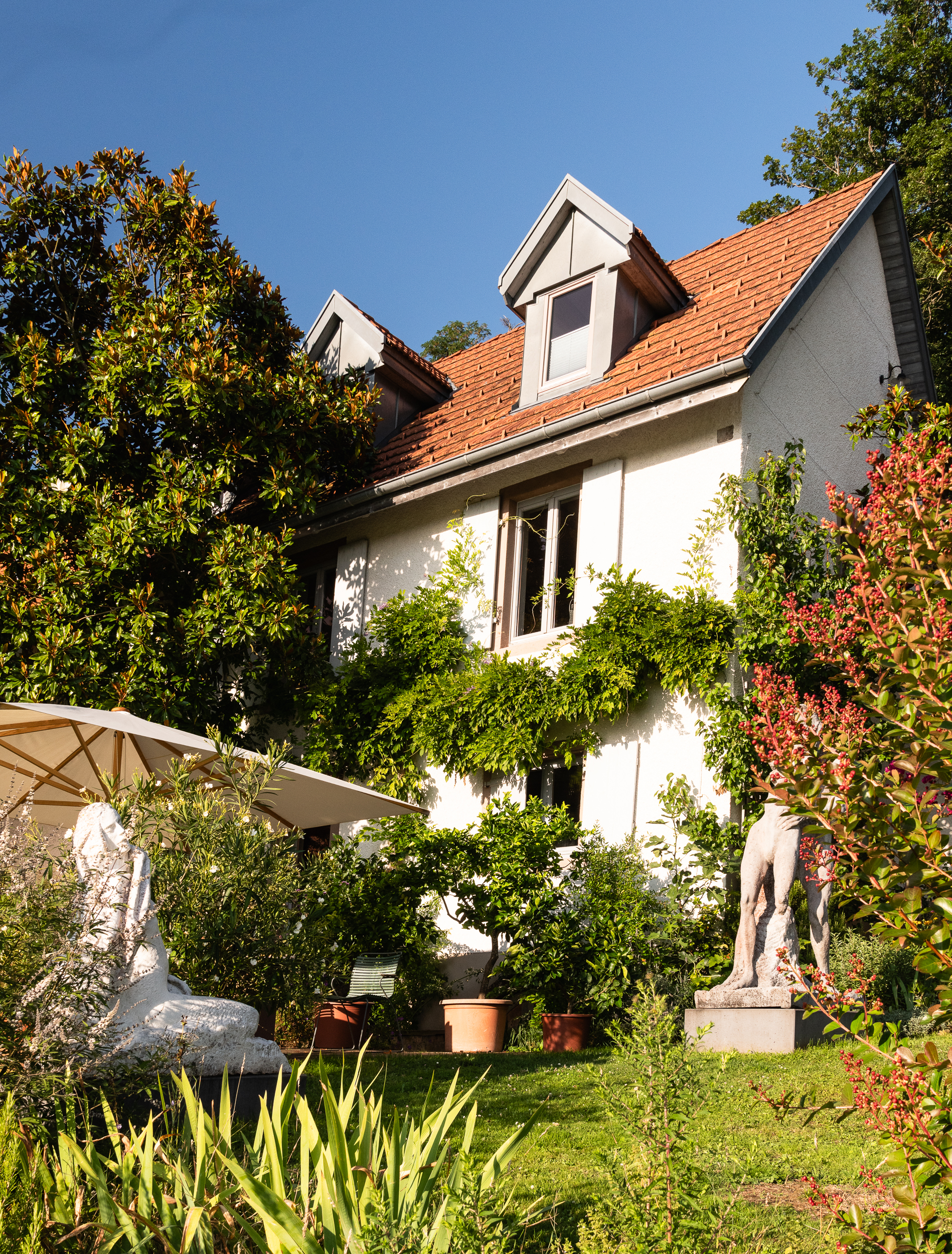 2026_clotten_herzkammer_neubau_garten_4422